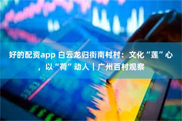 好的配资app 白云龙归街南村村：文化“莲”心，以“荷”动人｜广州百村观察