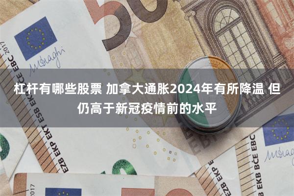 杠杆有哪些股票 加拿大通胀2024年有所降温 但仍高于新冠疫情前的水平