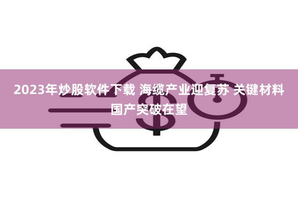 2023年炒股软件下载 海缆产业迎复苏 关键材料国产突破在望