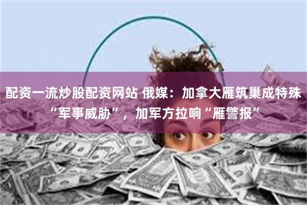 配资一流炒股配资网站 俄媒：加拿大雁筑巢成特殊“军事威胁”，加军方拉响“雁警报”