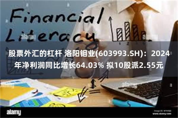 股票外汇的杠杆 洛阳钼业(603993.SH)：2024年净利润同比增长64.03% 拟10股派2.55元