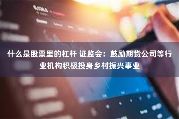什么是股票里的杠杆 证监会：鼓励期货公司等行业机构积极投身乡村振兴事业