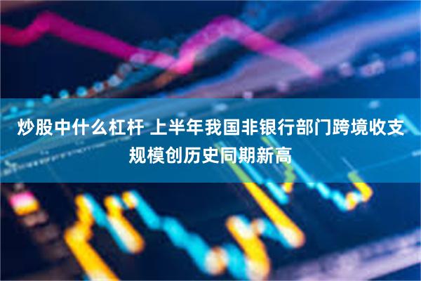 炒股中什么杠杆 上半年我国非银行部门跨境收支规模创历史同期新高