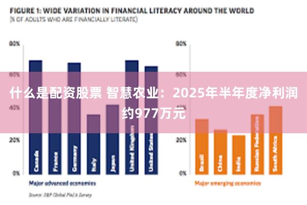 什么是配资股票 智慧农业：2025年半年度净利润约977万元