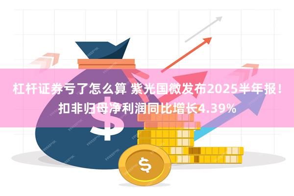 杠杆证券亏了怎么算 紫光国微发布2025半年报！扣非归母净利润同比增长4.39%