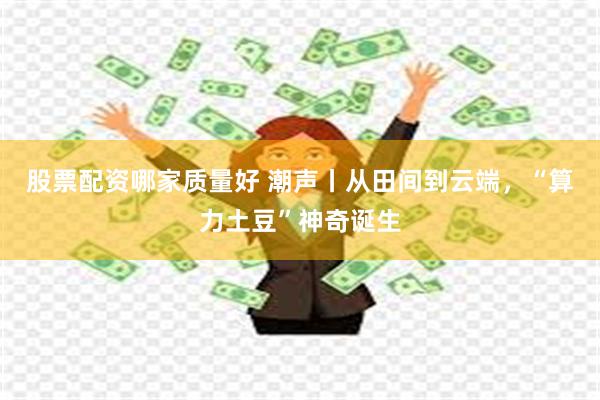 股票配资哪家质量好 潮声丨从田间到云端，“算力土豆”神奇诞生